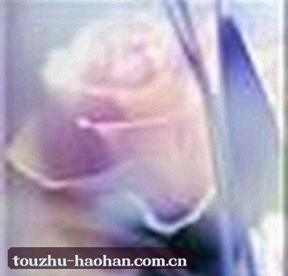 苏婉清